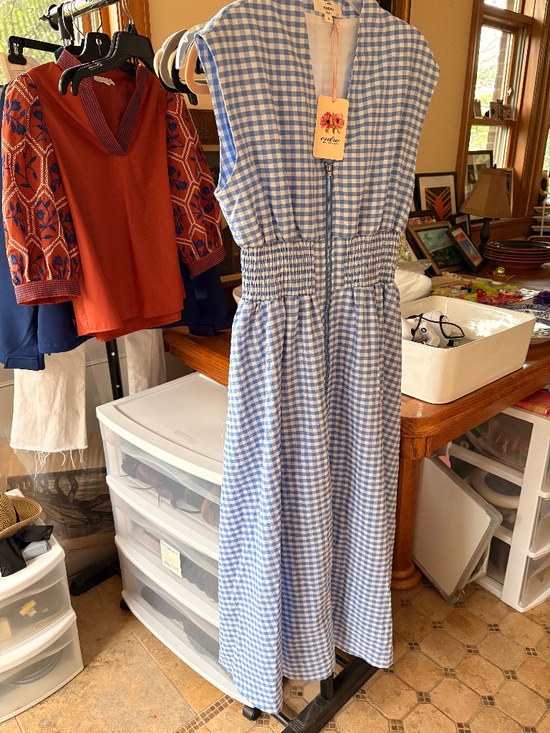 entro Dresses & Skirts - RARE NWT Entro Never Distracted Blue White Check V-neck Sundress in size S
